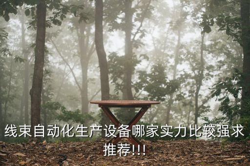 線束自動化生產(chǎn)設(shè)備哪家實力比較強求推薦!!!