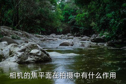 相機(jī)的焦平面在拍攝中有什么作用