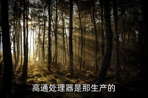 高通是哪個(gè)國(guó)家的，高通梟龍是哪個(gè)國(guó)家的