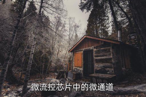 微流控芯片中的微通道