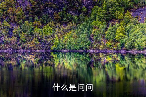 什么是問問