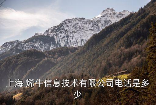 上海 烯牛信息技術有限公司電話是多少