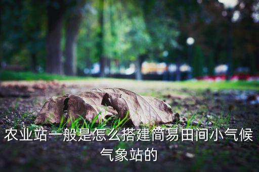 農(nóng)業(yè)站一般是怎么搭建簡易田間小氣候氣象站的