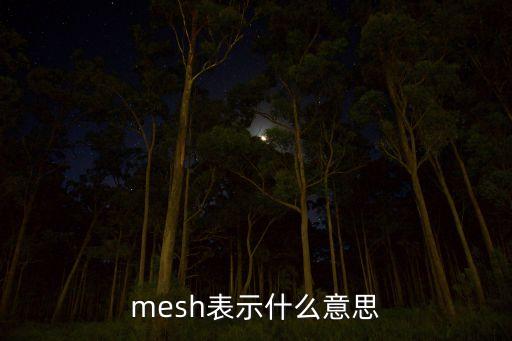 mesh表示什么意思