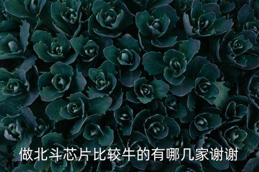 做北斗芯片比較牛的有哪幾家謝謝
