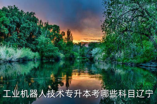 工業(yè)機(jī)器人技術(shù)專升本考哪些科目遼寧