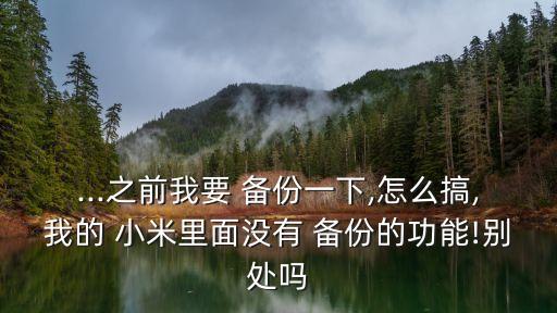 ...之前我要 備份一下,怎么搞,我的 小米里面沒有 備份的功能!別處嗎