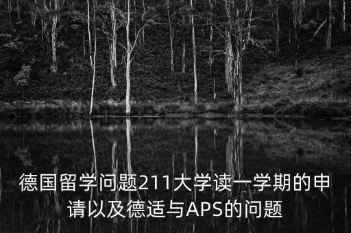 德國留學問題211大學讀一學期的申請以及德適與APS的問題