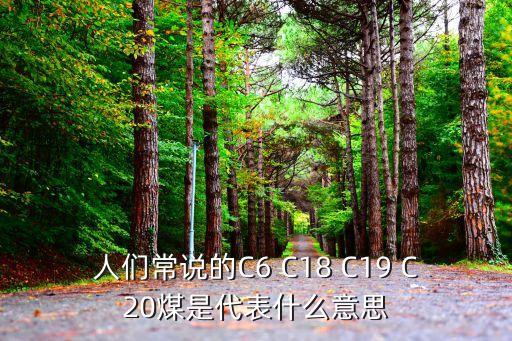 人們常說的C6 C18 C19 C20煤是代表什么意思