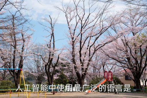 人工智能中使用最廣泛的語言是