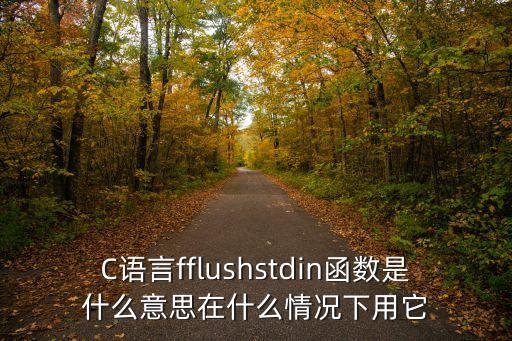 C語言fflushstdin函數(shù)是什么意思在什么情況下用它