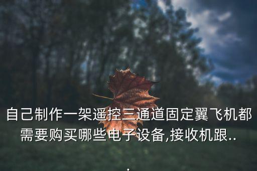 自制飛機(jī)自動(dòng)化設(shè)備的原理,模型飛機(jī)的機(jī)動(dòng)原理