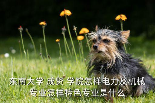 東南大學(xué) 成賢 學(xué)院怎樣電力及機(jī)械專業(yè)怎樣特色專業(yè)是什么