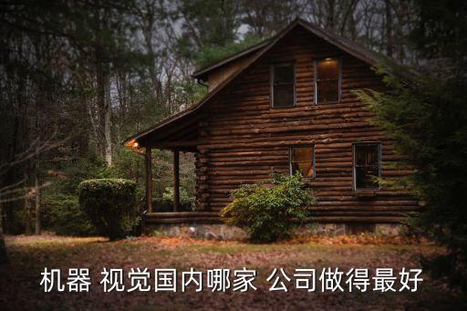 機(jī)器 視覺(jué)國(guó)內(nèi)哪家 公司做得最好