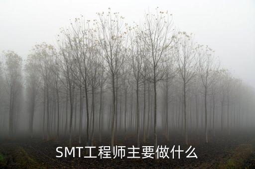 smt是做什么的，SMT技術(shù)員具體是干什么的