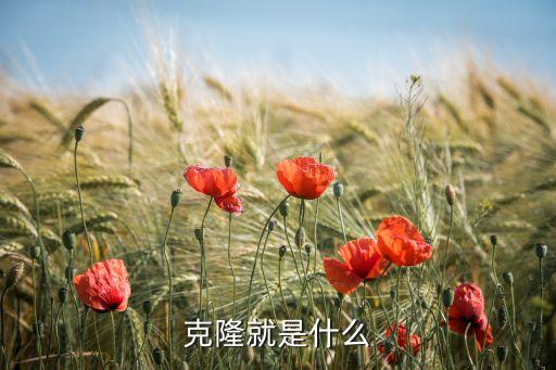 克隆就是什么