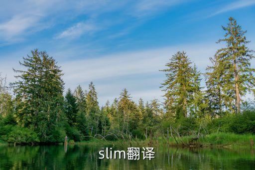 slim翻譯