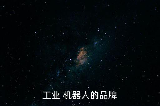 工業(yè) 機器人的品牌