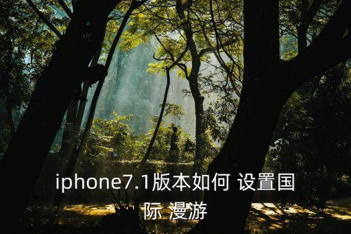 iphone7.1版本如何 設(shè)置國際 漫游