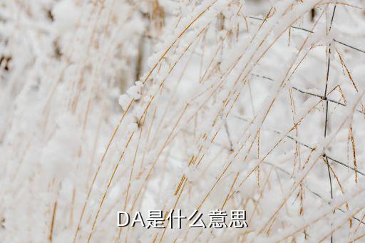 da什么意思，da 美劇中的da 是什么意思