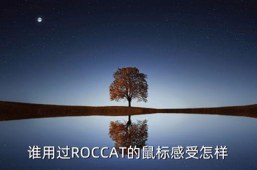 誰用過ROCCAT的鼠標感受怎樣