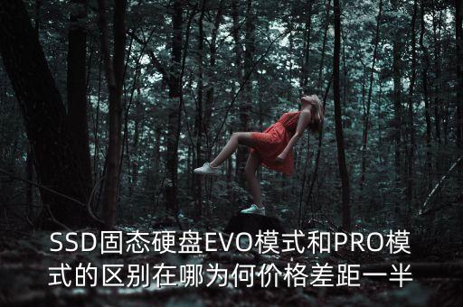 SSD固態(tài)硬盤EVO模式和PRO模式的區(qū)別在哪為何價(jià)格差距一半