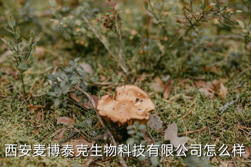 西安麥博泰克生物科技有限公司怎么樣