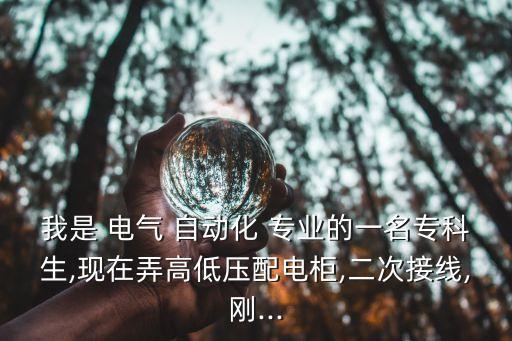 我是 電氣 自動(dòng)化 專業(yè)的一名?？粕?現(xiàn)在弄高低壓配電柜,二次接線,剛...