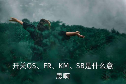 電氣自動(dòng)化中fr是什么意思,電路符號(hào)fr表示什么意思?