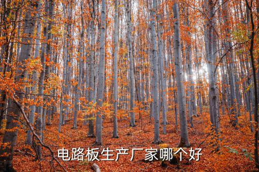 生產(chǎn)電路板的廠家，電路板生產(chǎn)廠家哪個(gè)好