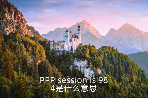 PPP session is 984是什么意思