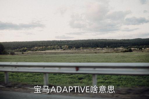寶馬ADAPTlVE啥意思