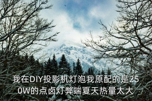我在DIY投影機燈泡我原配的是250W的點鹵燈弊端夏天熱量太大