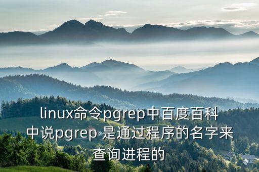pgrep，Linuxpgrep和 pidof根本區(qū)別是什么