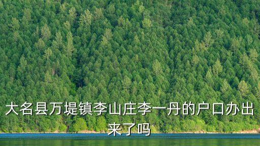 李一丹，大名縣萬堤鎮(zhèn)李山莊李一丹的戶口辦出來了嗎