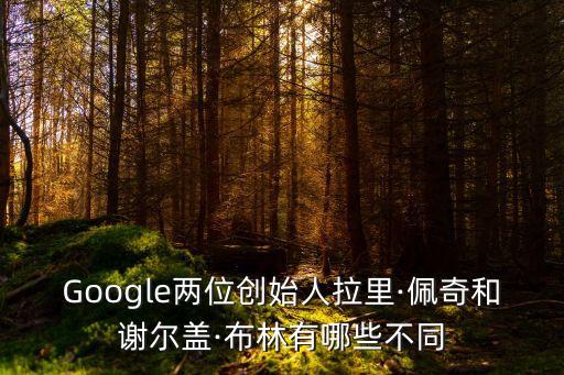 Google兩位創(chuàng)始人拉里·佩奇和謝爾蓋·布林有哪些不同