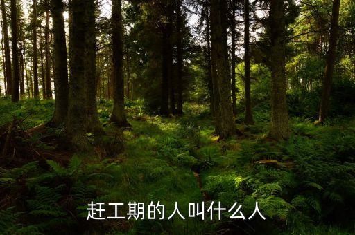 趕工期的人叫什么人