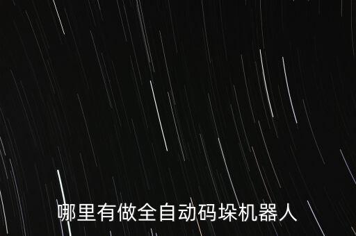 哪里有做全自動碼垛機器人