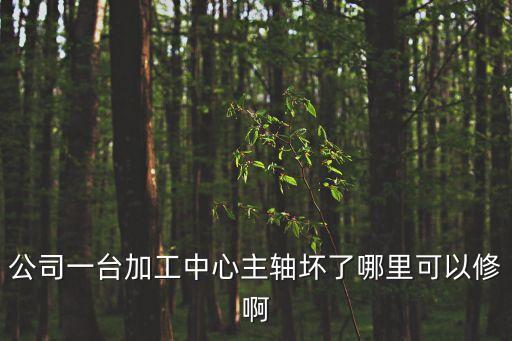 精密主軸維修，精雕機(jī)主軸電機(jī)怎么修需要哪些設(shè)備我想學(xué)主軸維修