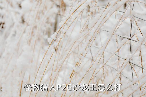 怪物獵人P2G沙龍王怎么打