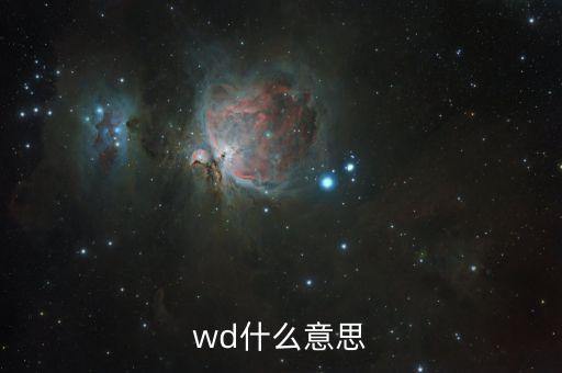 wd什么意思
