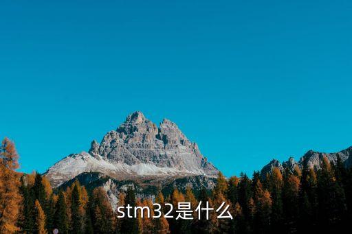 stm32是什么