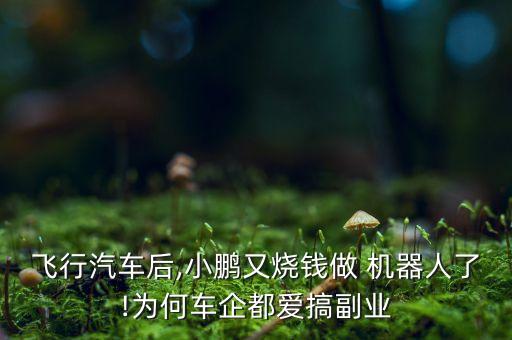 飛行汽車后,小鵬又燒錢做 機器人了!為何車企都愛搞副業(yè)