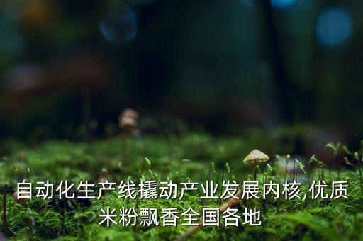 自動(dòng)化生產(chǎn)線撬動(dòng)產(chǎn)業(yè)發(fā)展內(nèi)核,優(yōu)質(zhì)米粉飄香全國各地