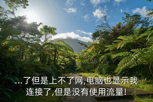 ...了但是上不了網(wǎng),電腦也顯示我連接了,但是沒有使用流量!