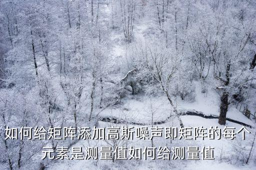如何給矩陣添加高斯噪聲即矩陣的每個元素是測量值如何給測量值