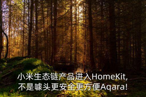 小米生態(tài)鏈產(chǎn)品進入HomeKit,不是噱頭更安全更方便Aqara!