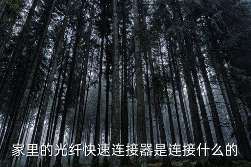 光纖快速連接器，家里的光纖快速連接器是連接什么的