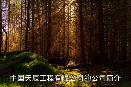 中國天辰工程有限公司的公司簡介