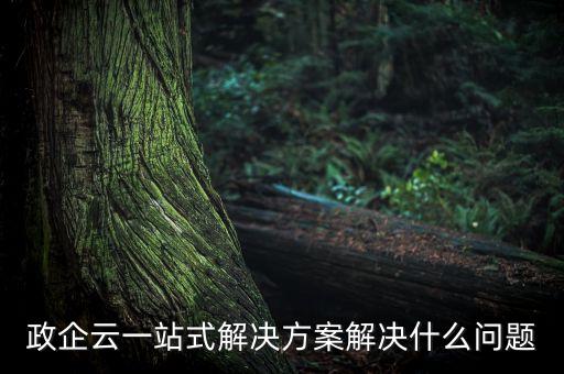 政企云一站式解決方案解決什么問題